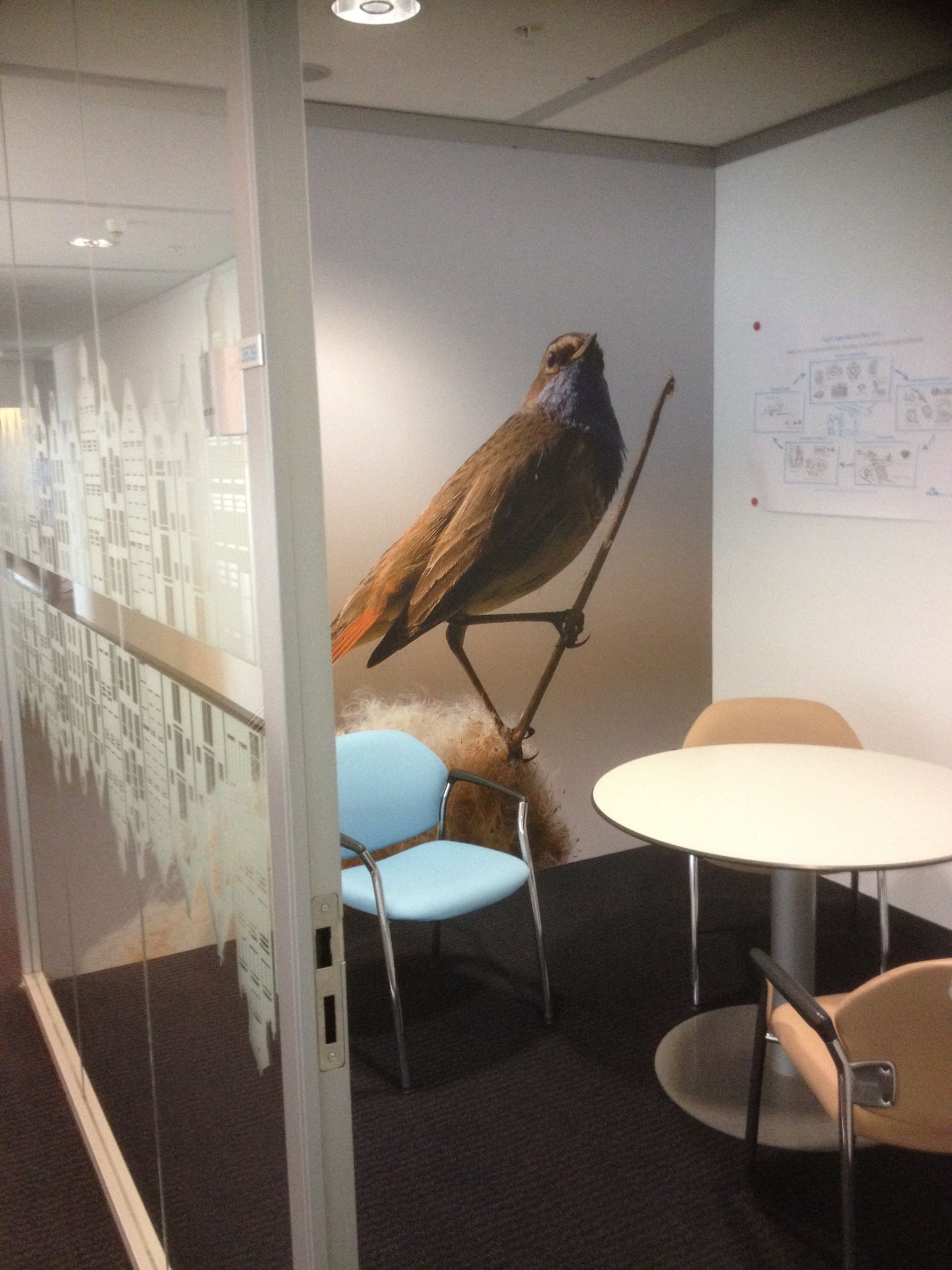 Vogels2 KLM